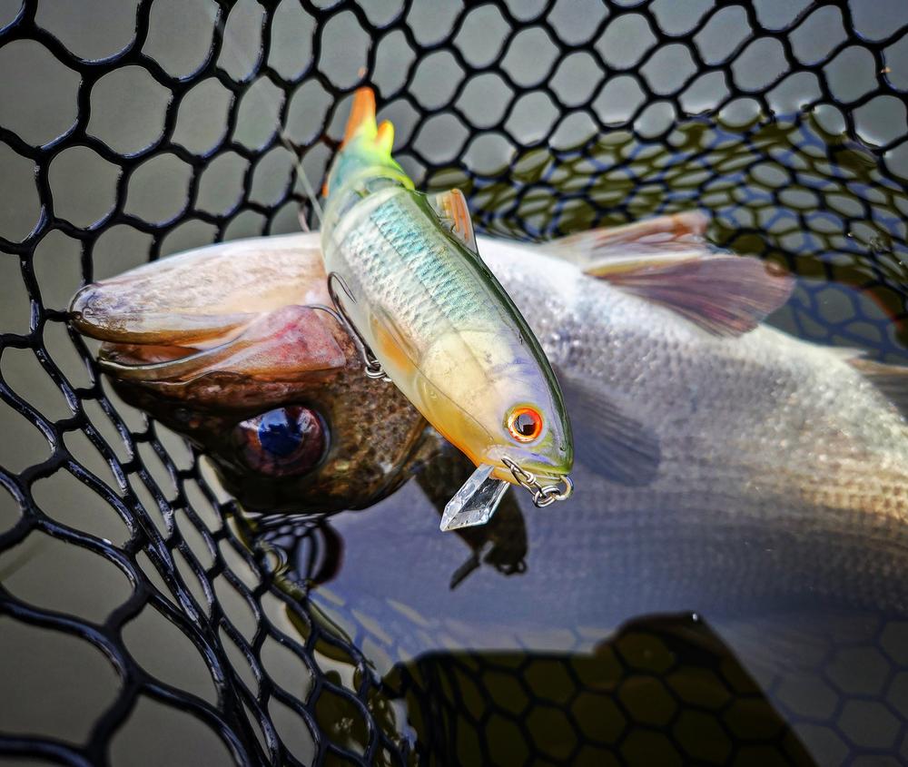 Deps New Silent Killer 145 - Customer Photo From Dylan Pace 