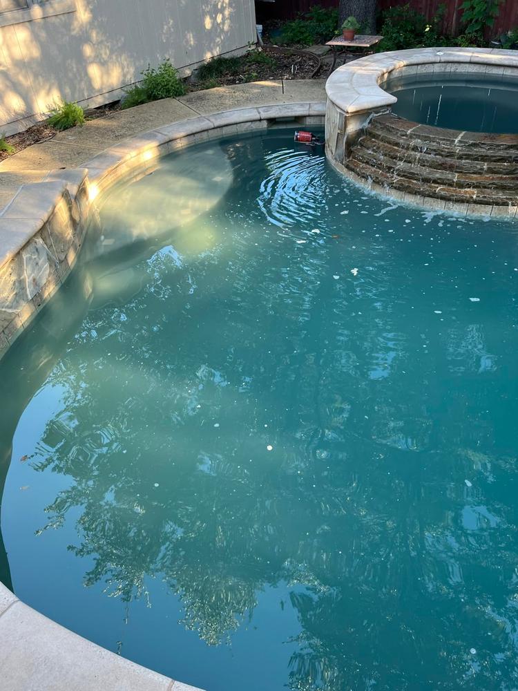 Pool Clarifier for Saltwater Pools - Customer Photo From LL