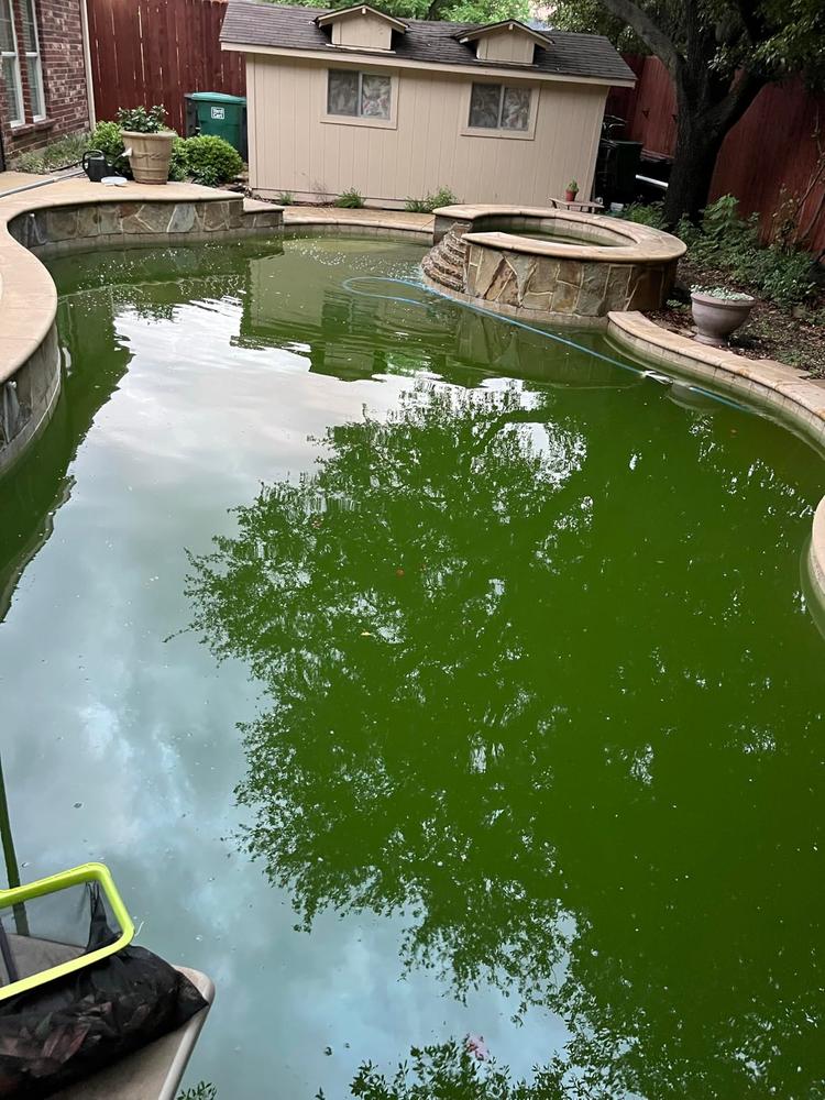 Pool Clarifier for Saltwater Pools - Customer Photo From LL