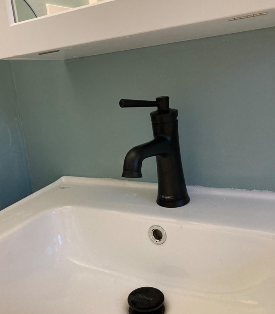 Joleena 100 Single-Hole Bathroom Faucet with Pop-Up Drain, 1.2 GPM - Customer Photo From Susan Hegel