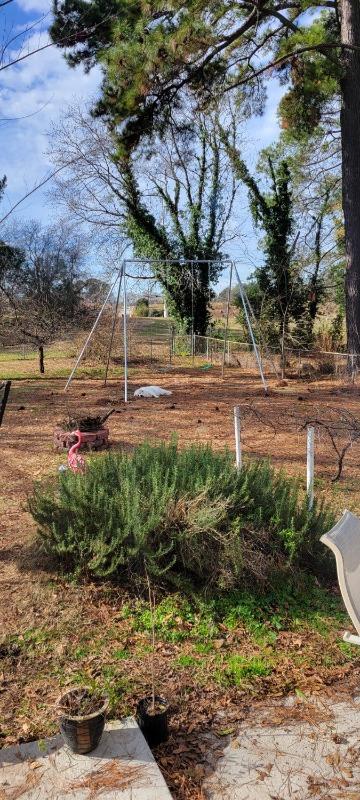 Metal A-Frame Swing Set with 2 Swings - Customer Photo From Sara Brown