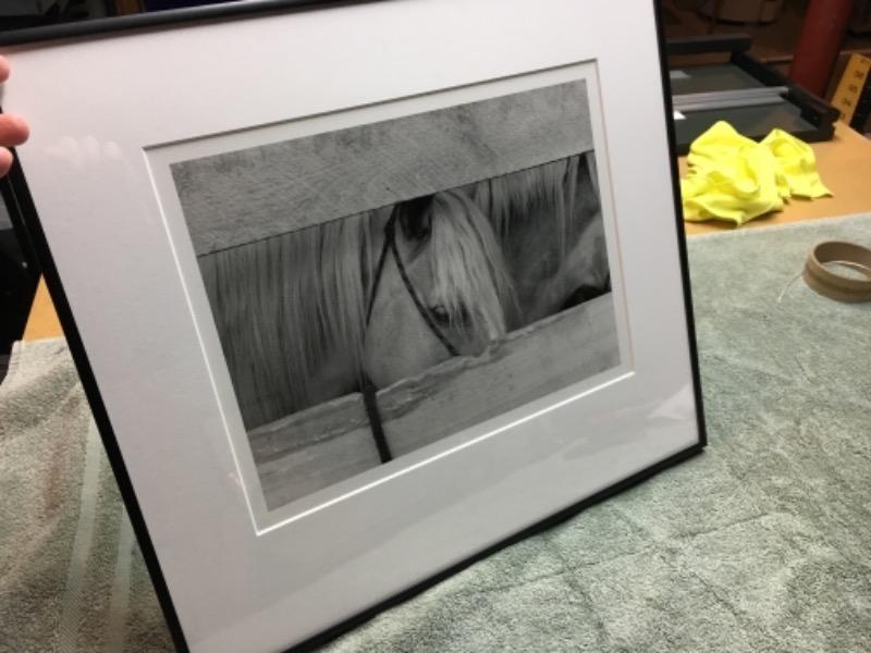 ラスト1セット〈5枚〉 ニールセン nielsen 10×12インチ シルバー Nielsen Profile 12 Metal Frame | Frame Destination