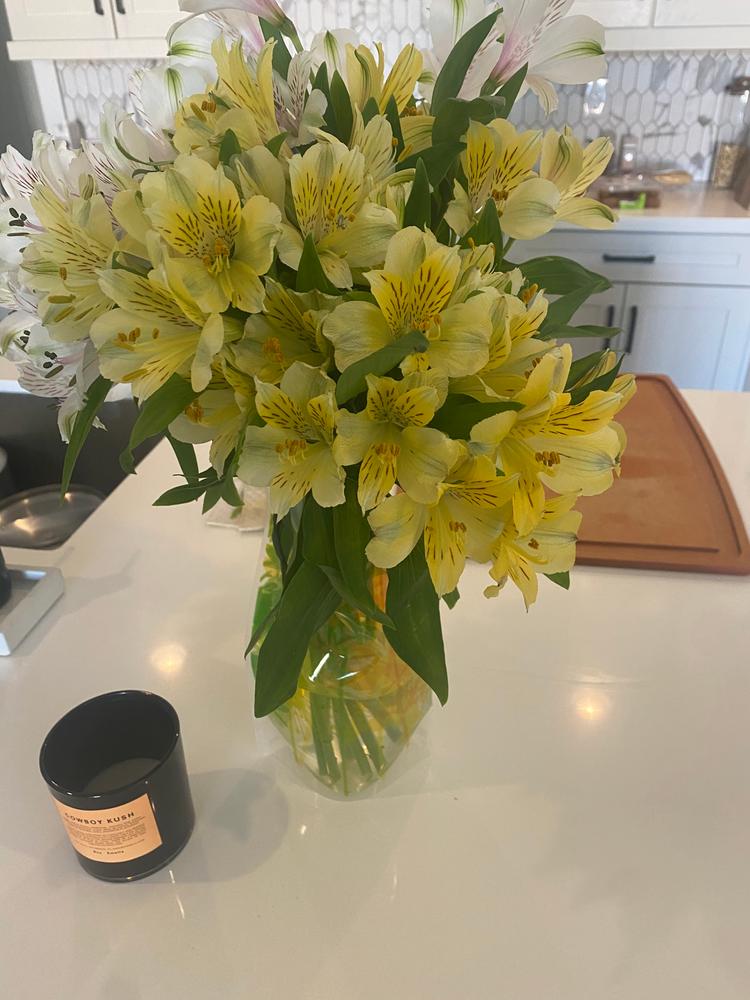 Van Gogh Irises Vase - Customer Photo From Shannon Stewart