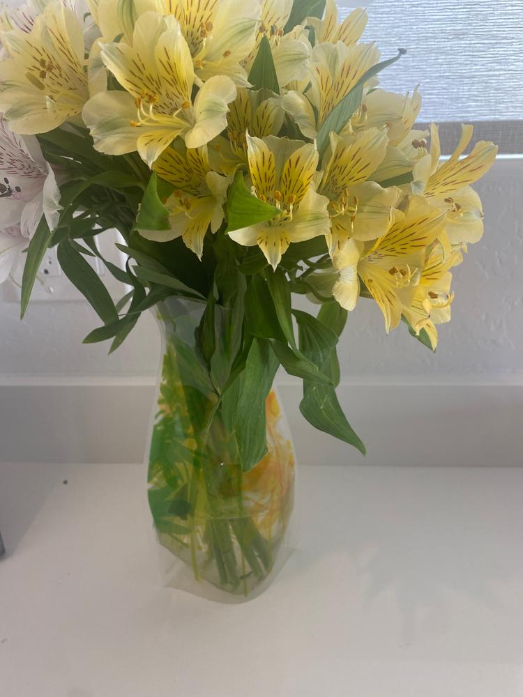 Van Gogh Irises Vase - Customer Photo From Shannon Stewart