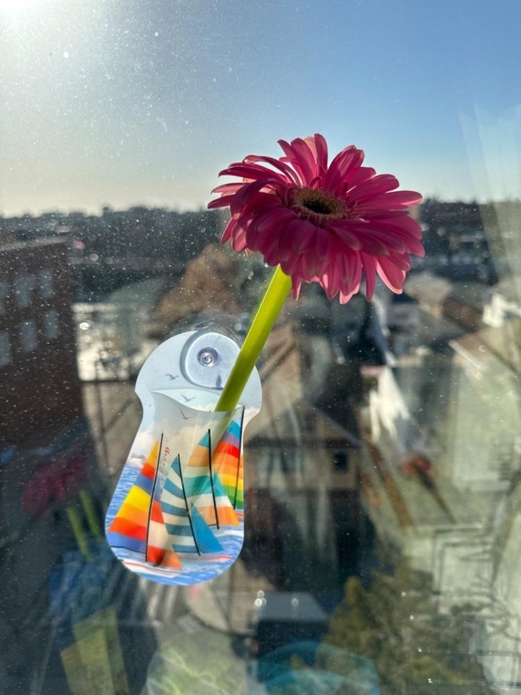 Nauti Suction-Cup Vase - Customer Photo From Victoria Lapin