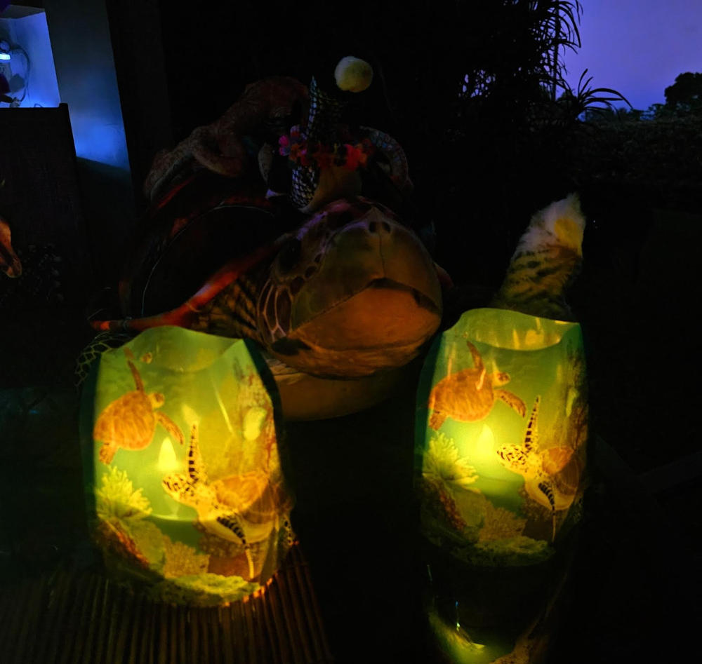 Sea Turtles Luminaries - 4 Per Pack - Customer Photo From Victoria Mann-Hauer