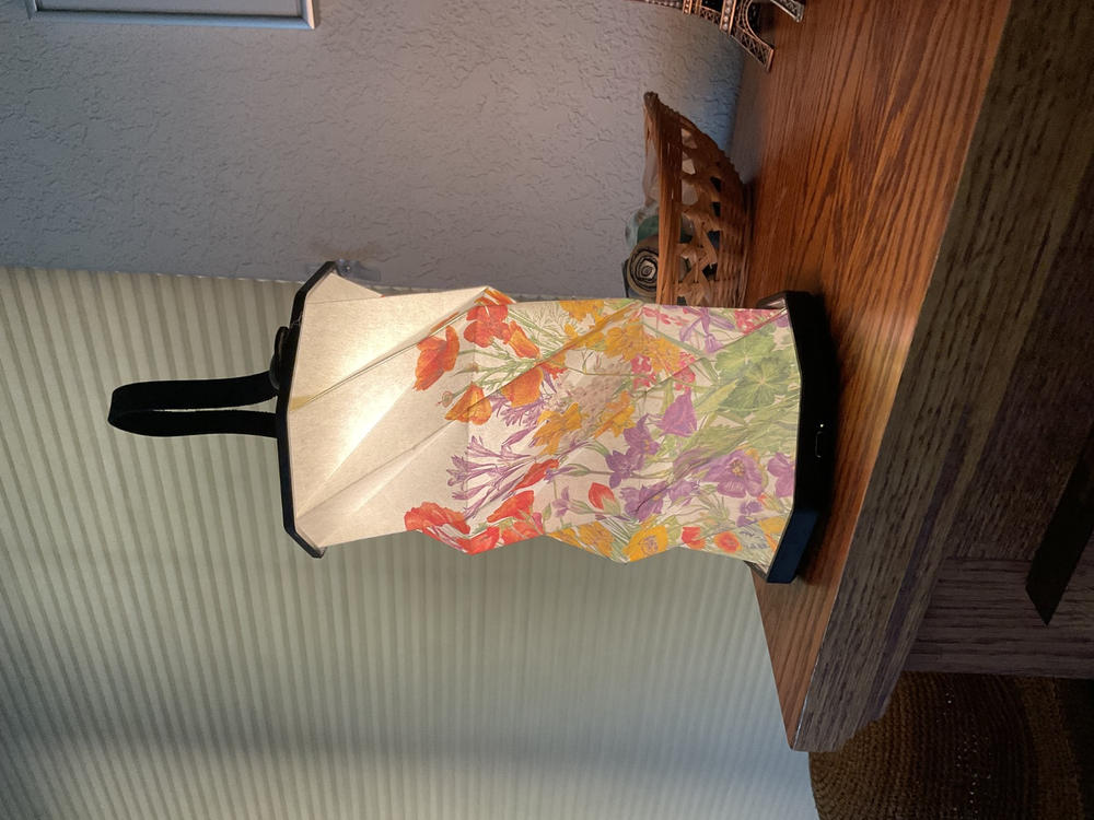 Modgy Louis C. Tiffany Dragonfly Origami Lantern - Customer Photo From Cathie Holm