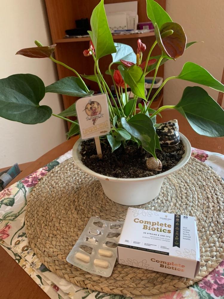 Complete Biotics - Customer Photo From Milojka Berišaj