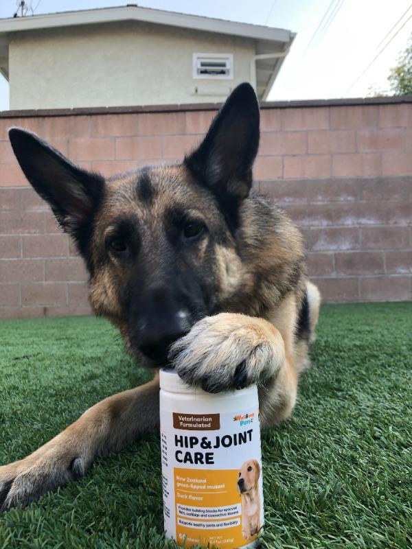 German shepherd hot sale hip supplements