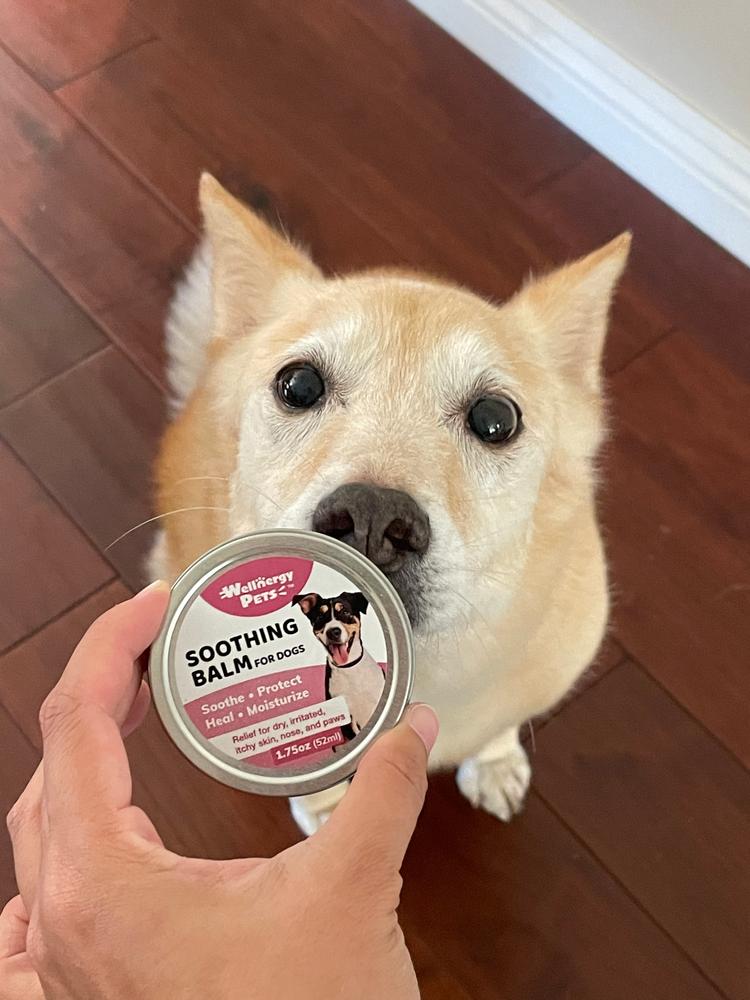 Soothing balm sale for dogs