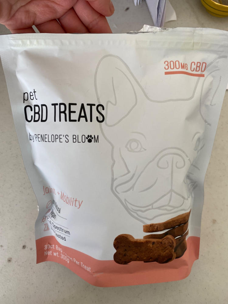 Joint Pain + Mobility CBD Treats for Dogs - Customer Photo From Sariel Myllari