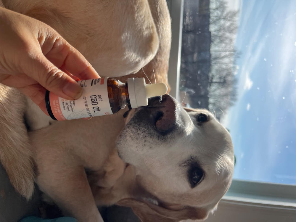 CBD Oil For Dogs 250mg - 1000mg - Medium – 30 to 90 lbs (500 MG) - Customer Photo From Kay Barrett