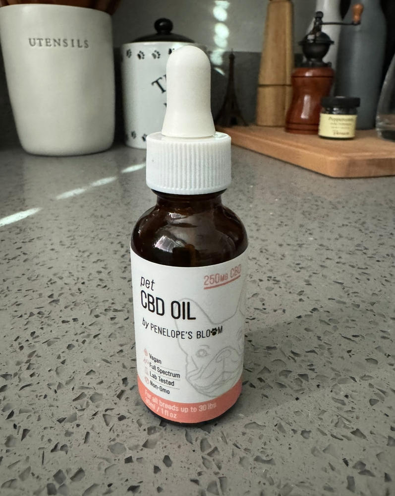 CBD Oil For Dogs 250mg - 1000mg - Small – Up to 30 lbs (250 MG) - Customer Photo From Brian Reitter