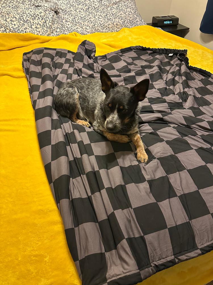 Stealth Checker Blanket - Customer Photo From Kera Berry