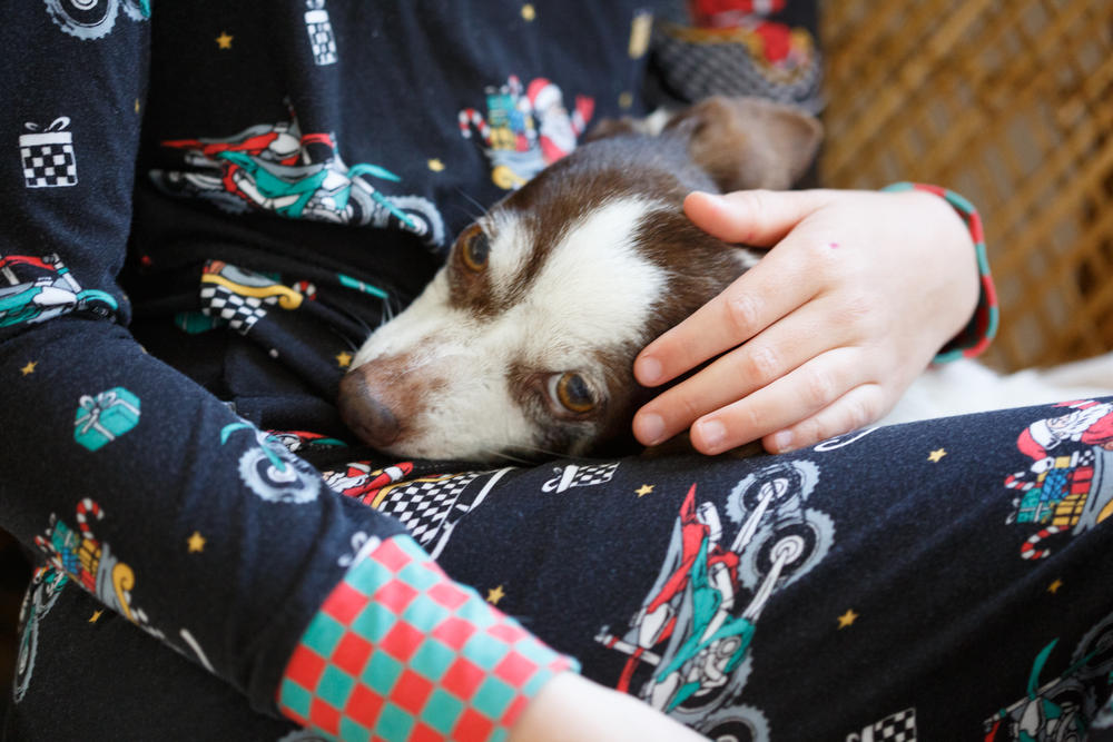 Santas Speedy Sleigh Toddler & Youth Pajamas - Customer Photo From Rachel Craine