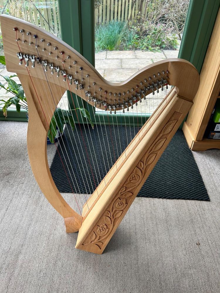 Gold Harp Bundle - Heritage 29-String Minstrel Harp - Customer Photo From Heather Peck