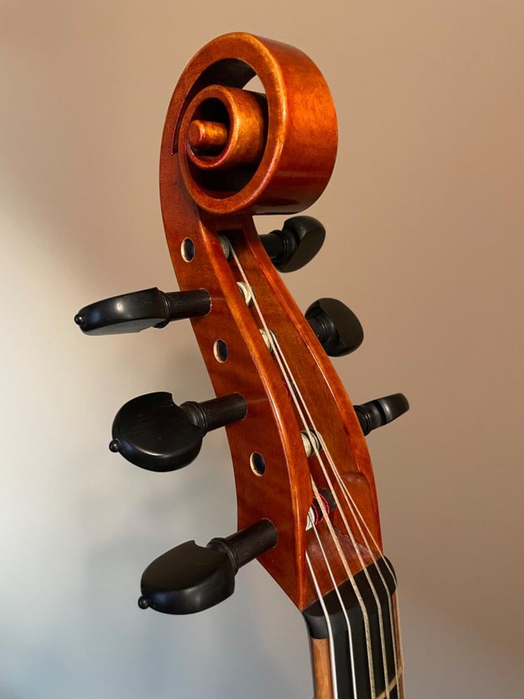Lu-Mi Master 6 String Bass Viol after Meares - Customer Photo From Matt Keefer