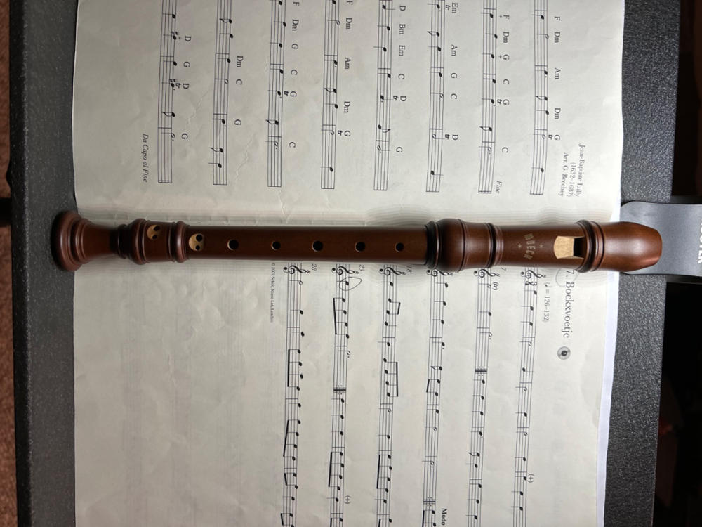 Moeck Rottenburgh Soprano Recorder in Stained Pearwood