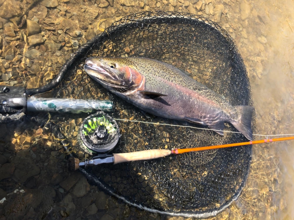 6 wt Fiberglass Fly Rod Kit. Epic 686 Ready to Wrap Fly Rod Kit - Epic ...