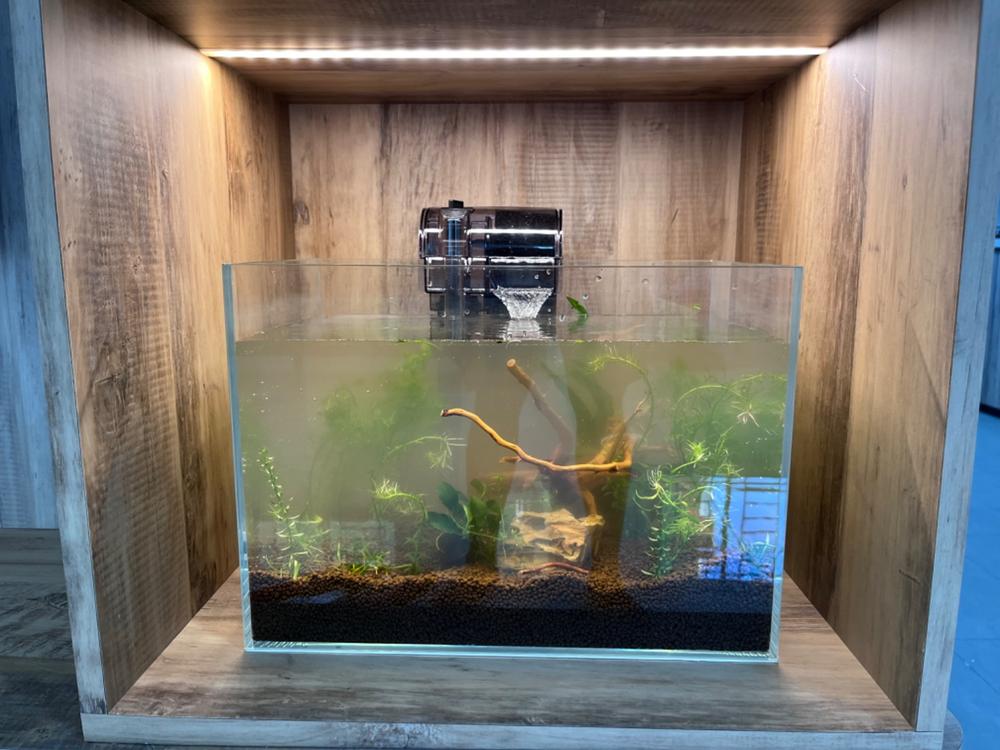 ANS OptiCube High Clarity Aquarium Tank (Various Sizes) - Customer Photo From Zhan Hong Zhannie Tan