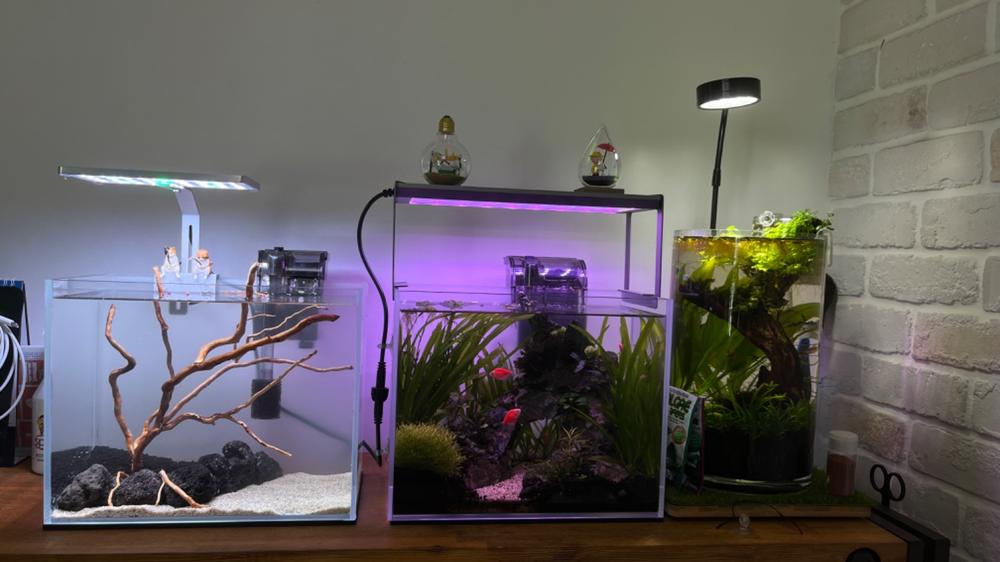 ANS OptiCube High Clarity Aquarium Tank (Various Sizes) - Customer Photo From Raymond Lu