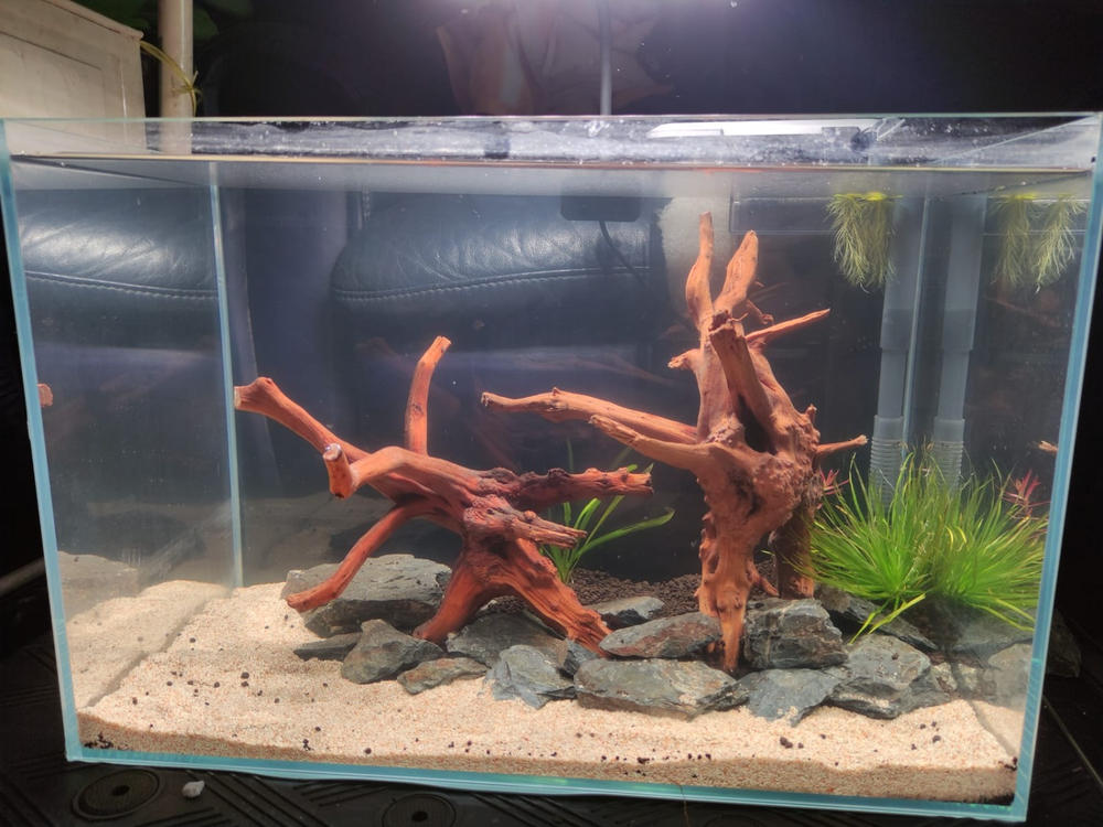 ANS OptiCube High Clarity Aquarium Tank (Various Sizes w/ Lid) - Customer Photo From Zaidi Hamidi