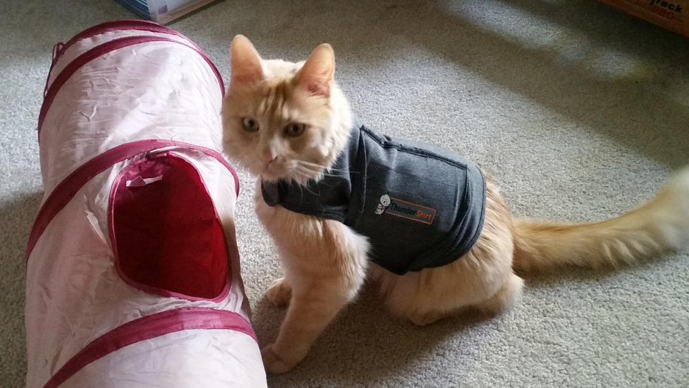 thundershirt for cats sizing