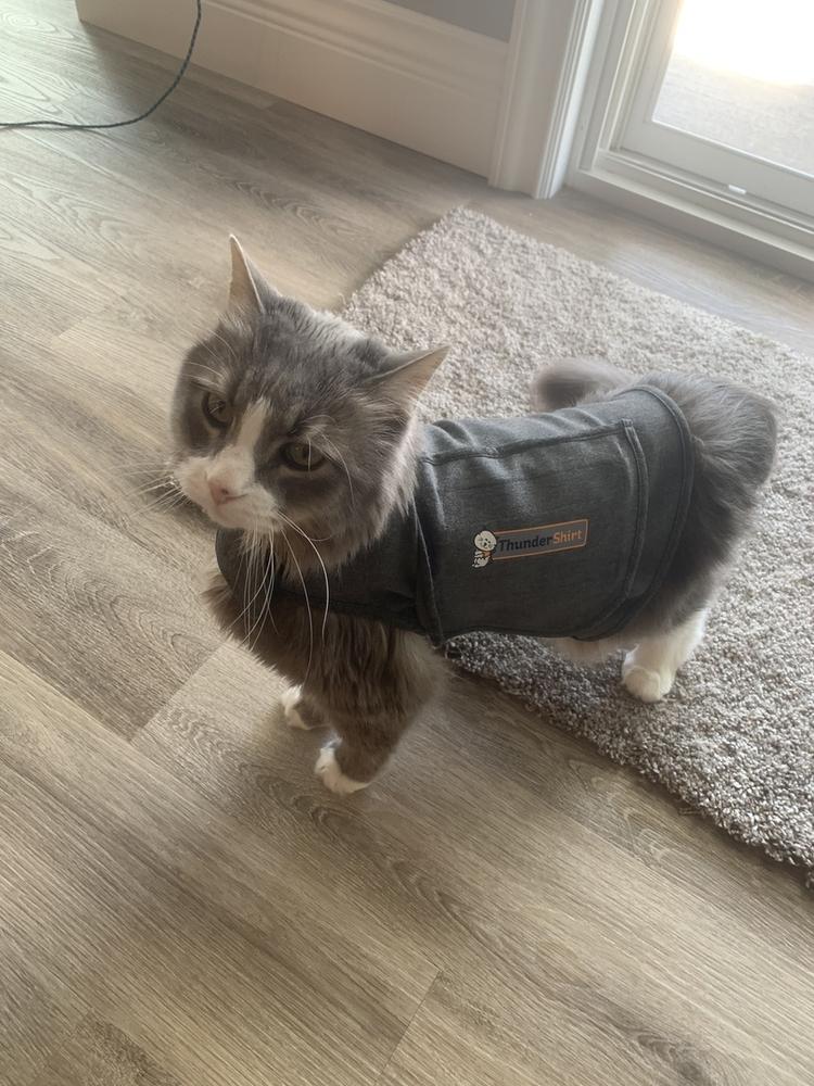 thundershirt for cats sizing