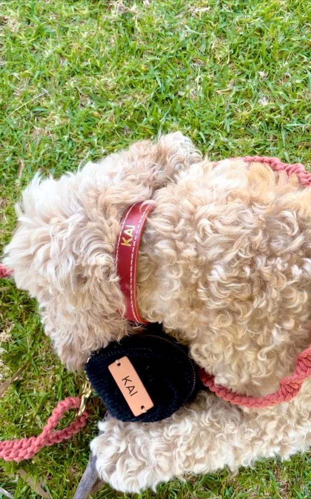 Leather Dog Collar - Brown – Sebastian Says