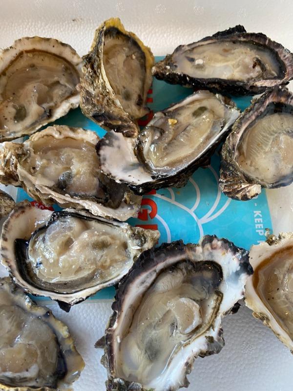 6 Shucked Oysters | CPT - 6 Large - Customer Photo From sue van der linde