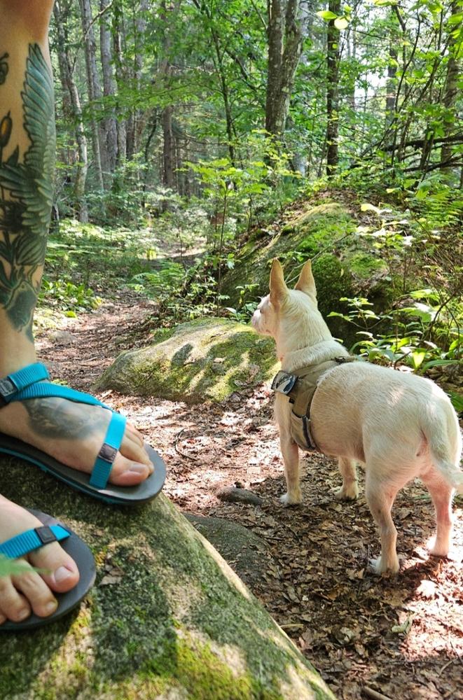 Z-Trail EV - Women - Customer Photo From Ari
