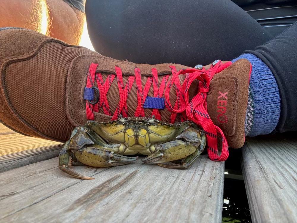 Ridgeway - Women (Clearance) - Customer Photo From Lea 