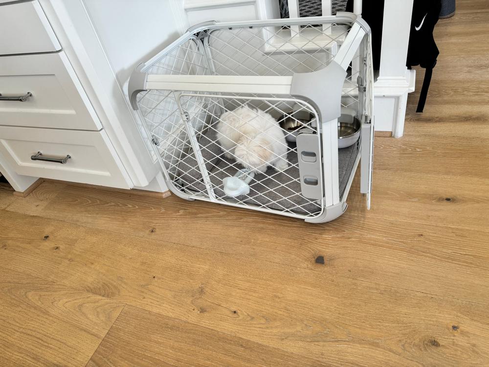 Evolv Dog Crate - Customer Photo From Ellen Camp