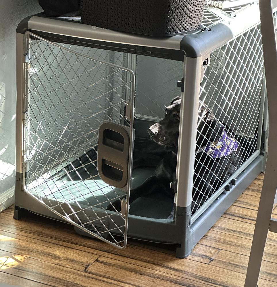 Evolv Dog Crate Diggs