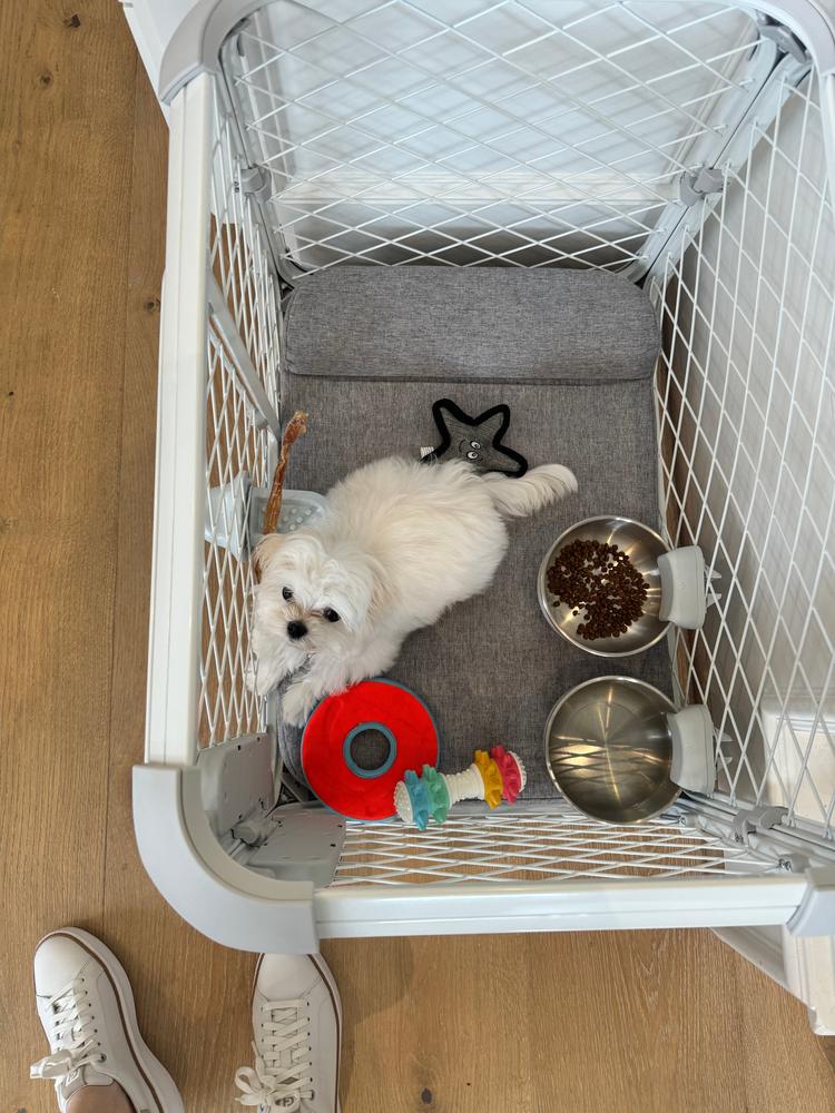 Evolv Dog Crate - Customer Photo From Ellen Camp