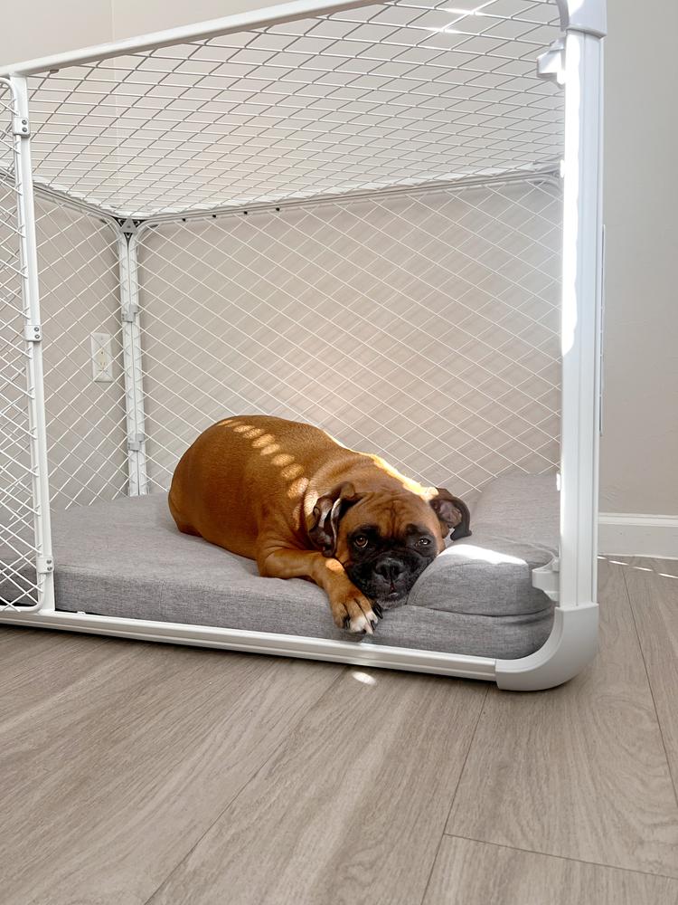 Evolv Dog Crate - Customer Photo From Mindy H.