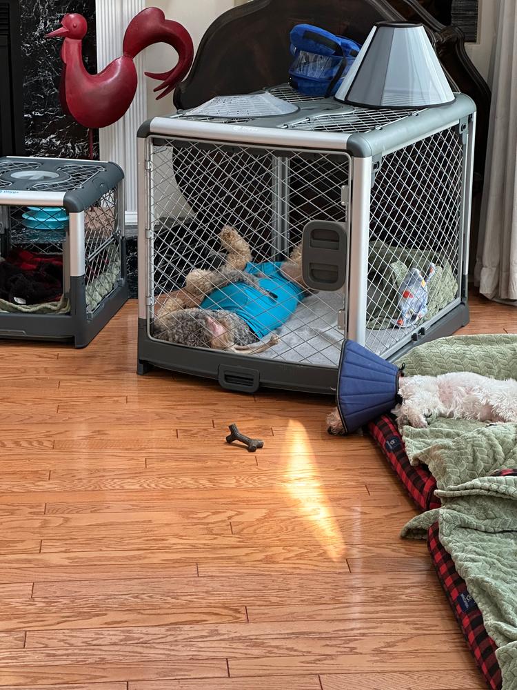 Evolv Dog Crate - Customer Photo From Guillermo Garcia III