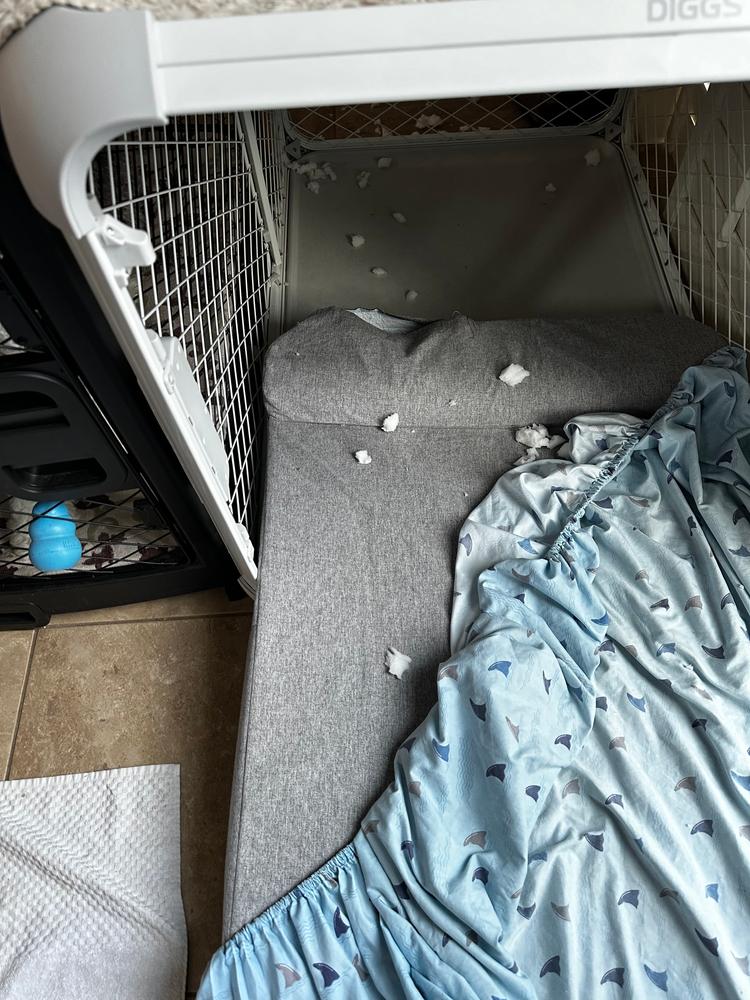 Bolstr Dog Bed - Customer Photo From Kasandra T