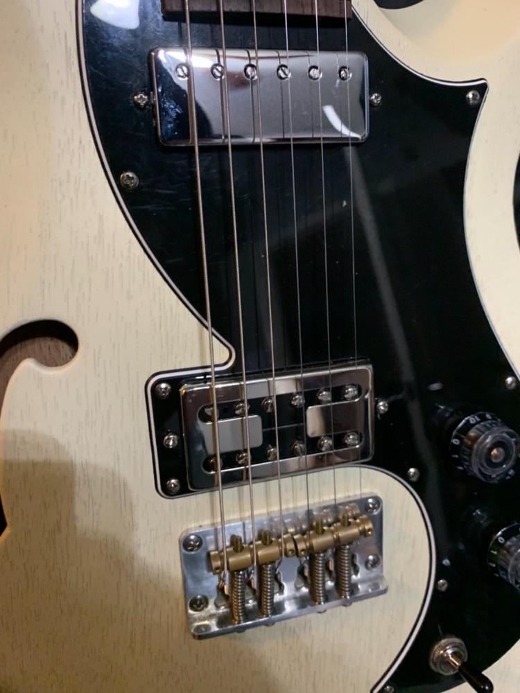 Mean Mistreater Mini Humbucker - Customer Photo From Sean G.