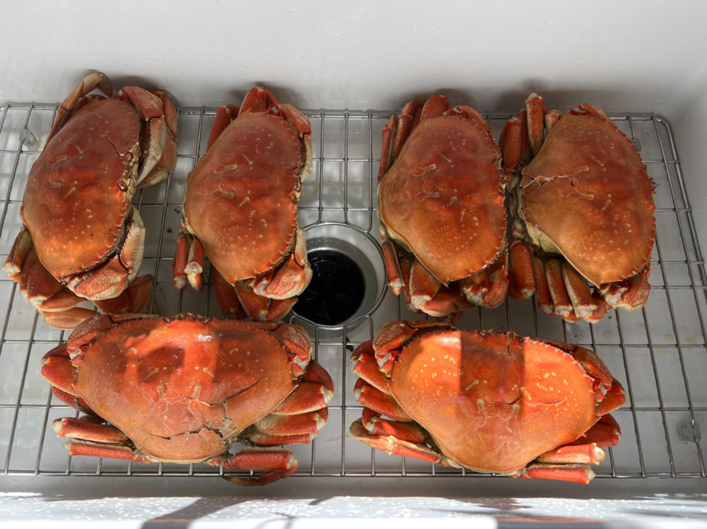 Fancy Dungeness Crab Online - Customer Photo From Chip Kirby