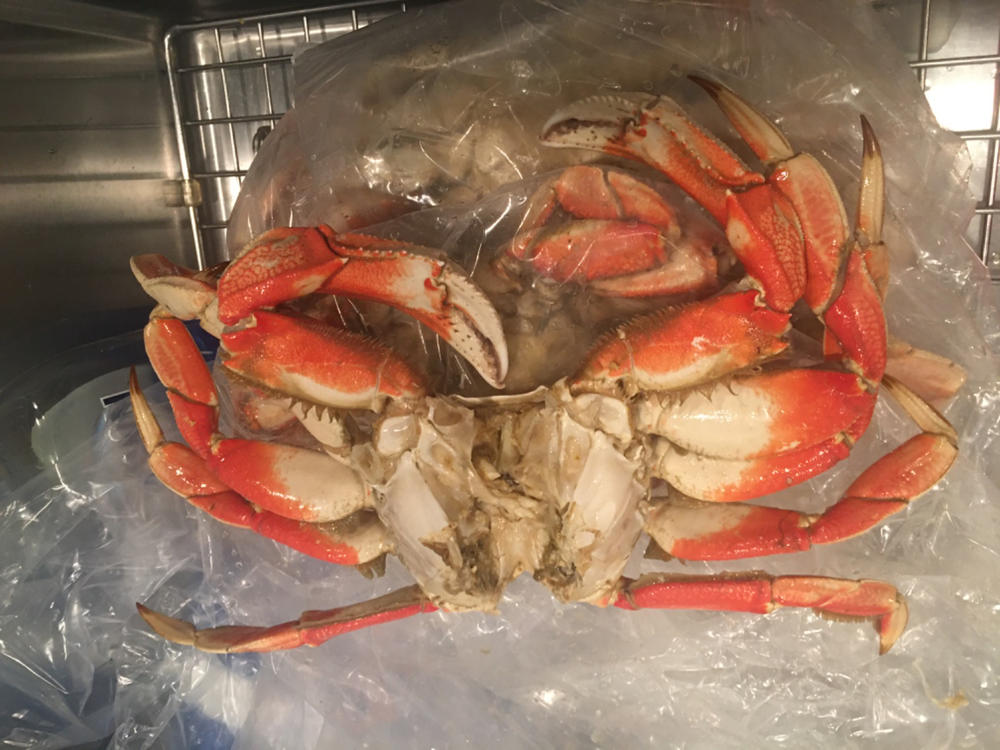 JUMBO COOKED Dungeness Crab! - Customer Photo From Gregory Burke