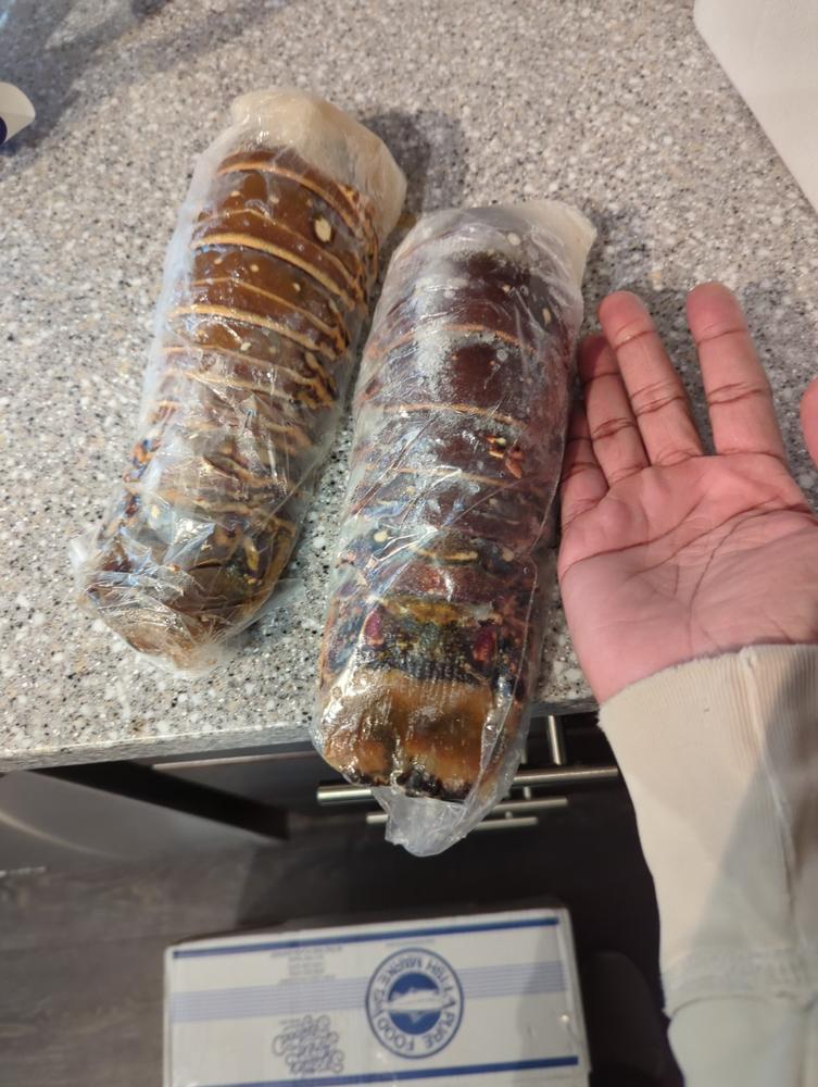 Super Jumbo Colossal Lobster Tails 20oz and up! - Customer Photo From Annette Ellis