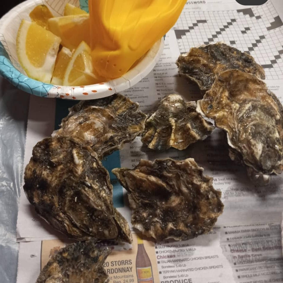 Kumamoto Oysters in the shell - Customer Photo From James McDermott 
