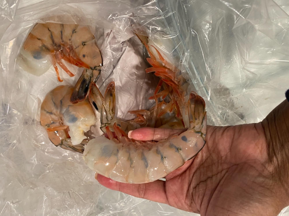 White Gulf Shrimp U8 - Customer Photo From Cheryl Coleman