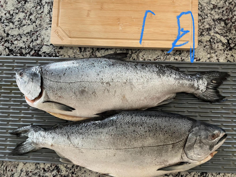 Fresh Whole Northwest King Salmon - 9-10 lbs. - Customer Photo From Michael Wu
