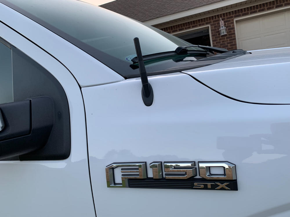 Perfect-Fit Stubby Antenna |  Ford F-150 (15-20), F-250/350 (17-21) - Customer Photo From Allan Lamberti