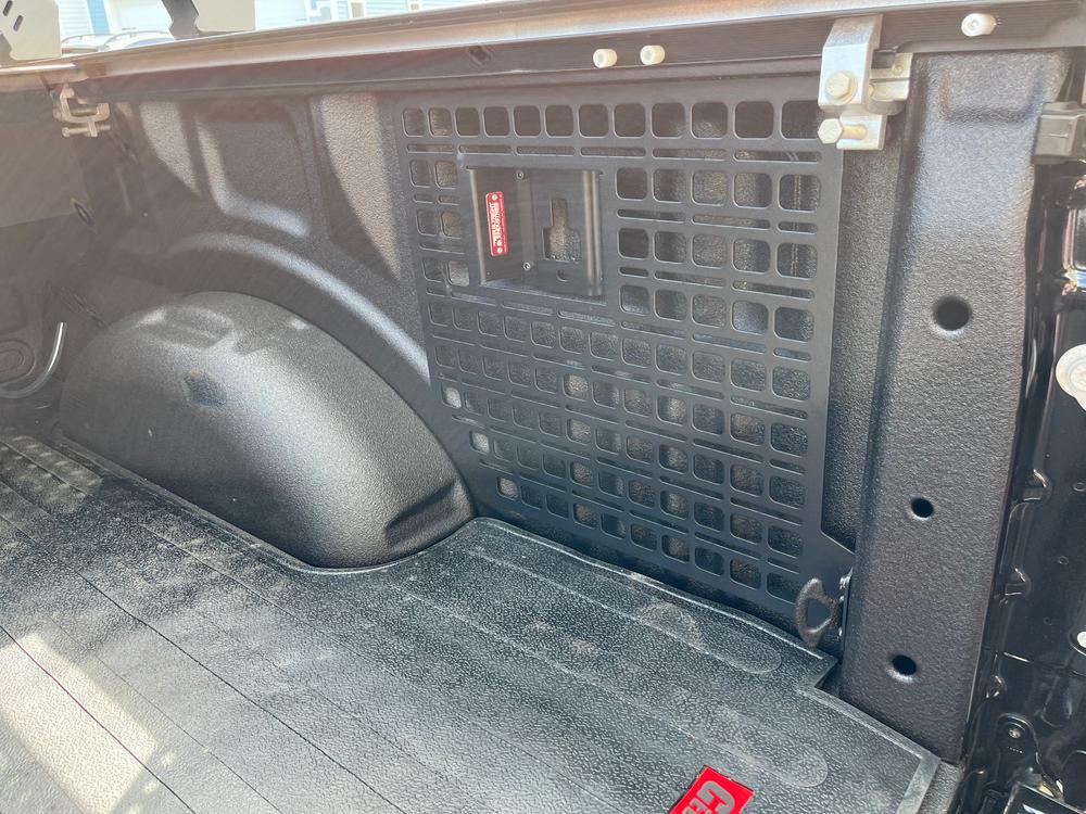 Bedside Rack System - Passenger Rear Panel | Ford F-150 & Raptor (2015-2021) - Customer Photo From MadmanBlueBox 