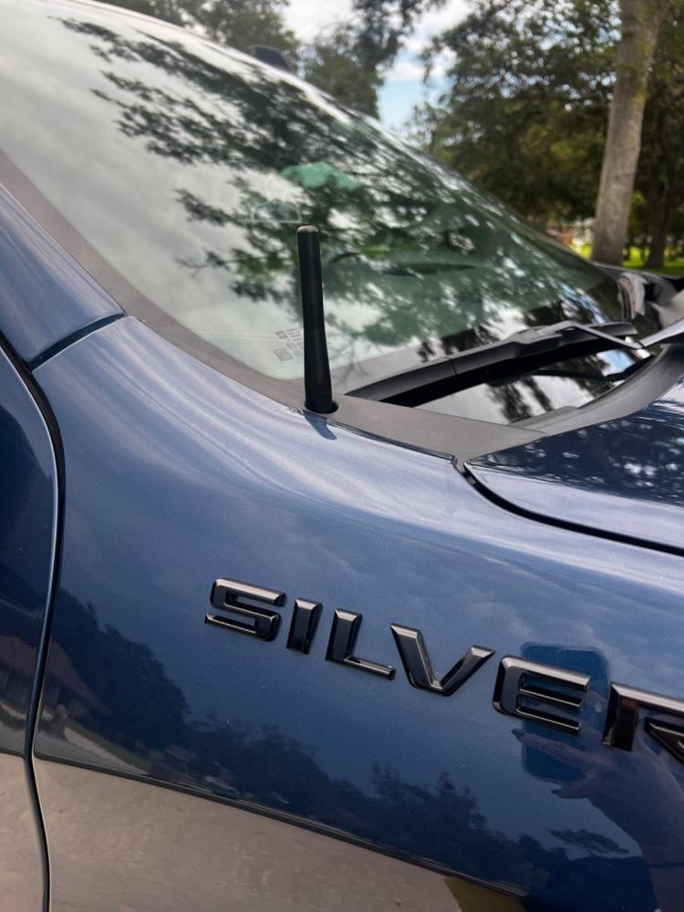 Perfect-Fit Stubby Antenna |  Chevrolet Silverado 1500 (2019+), GMC Sierra 1500 (2019+) - Customer Photo From Cecilia Brown