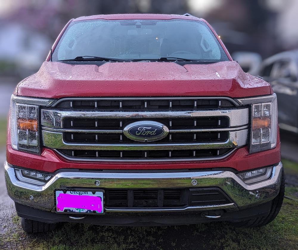 Ford License Plate Mount | Ford F-150 (2021+) - Customer Photo From Holli