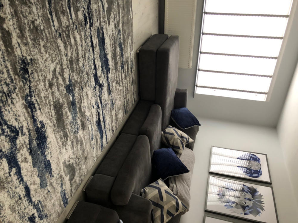 Monaco Contemporary Rug - Customer Photo From Sammi Sutton